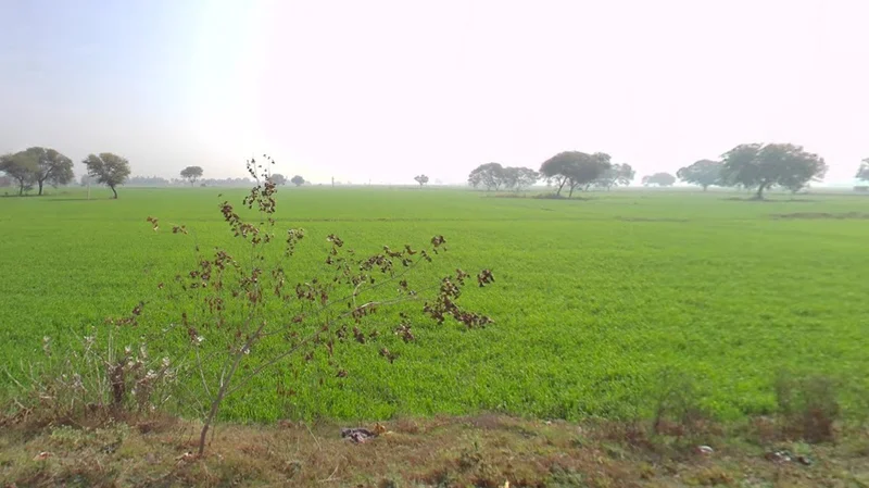 Musahari, Madhya Pradesh 475220, India preview 3