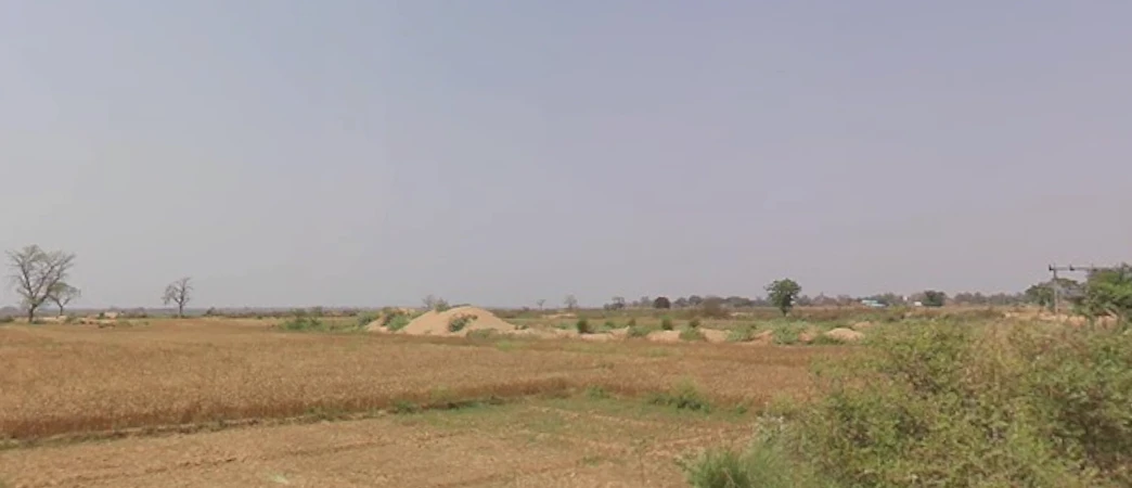 Naubatpur, Bihar 801109, India