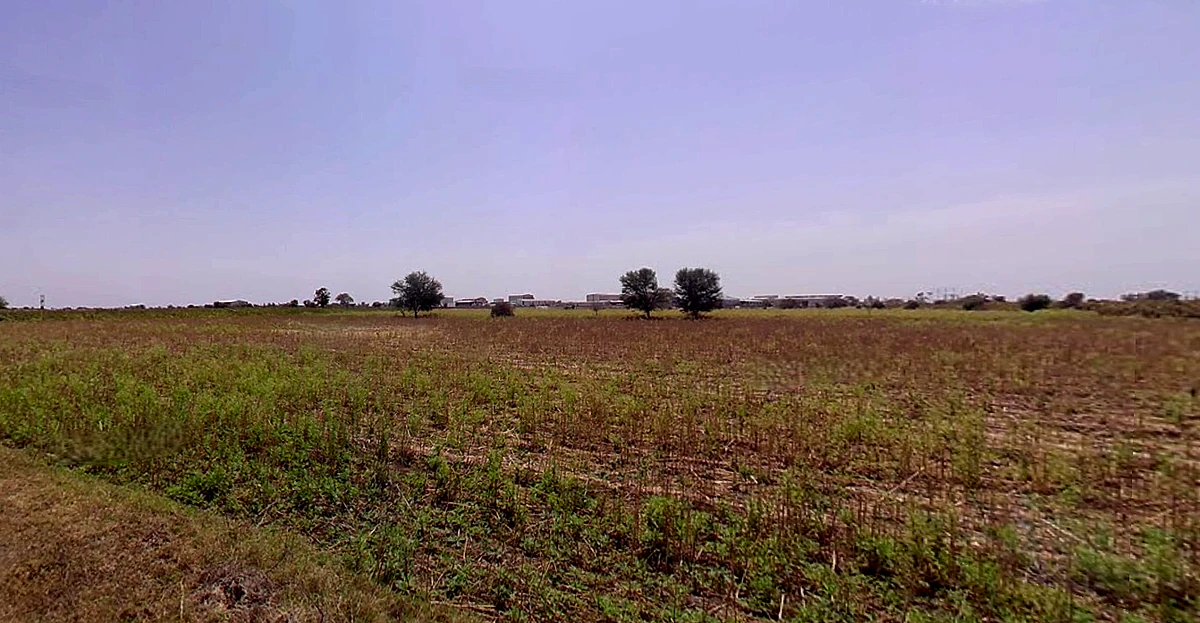 Endla, Gujarat 384285, India