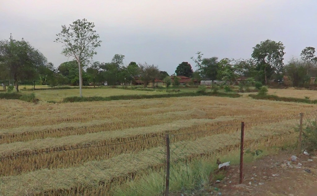 Hasauda, Chhattisgarh 493889, India