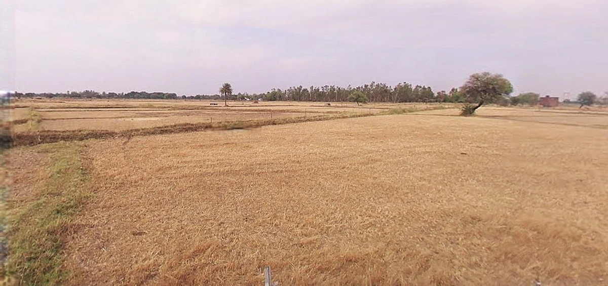 Chandausi, Uttar Pradesh 244412, India