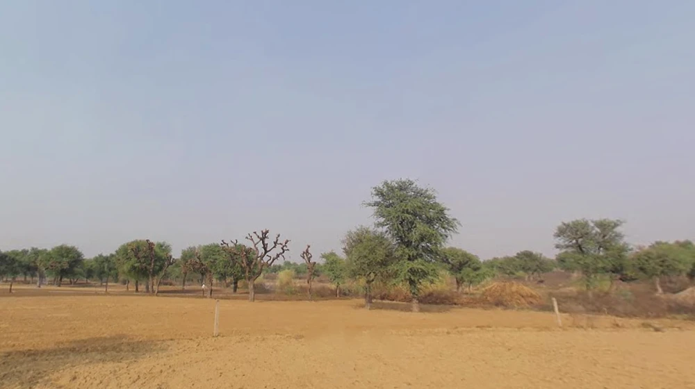 Agricultural Land in Narnaul/rata, Mahendragarh