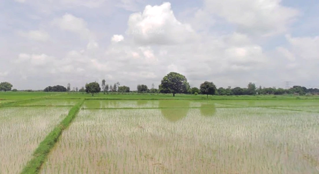 Salaiya, Madhya Pradesh, India