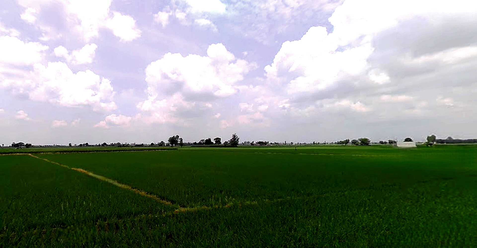 Morinda - Chunni Rd, Bhateri, Punjab, India