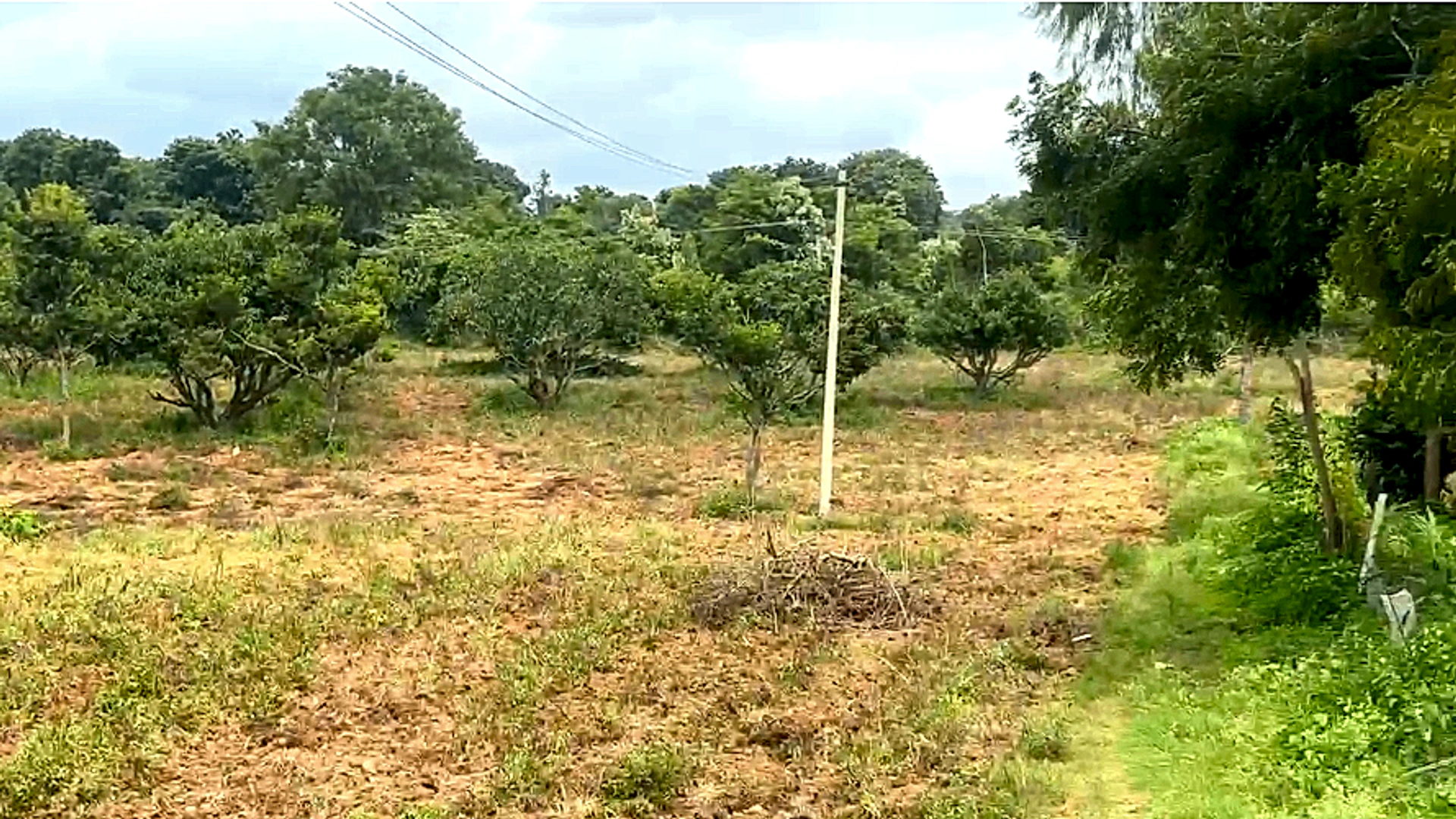 F929+M9 Kamakshihalli, Karnataka, India