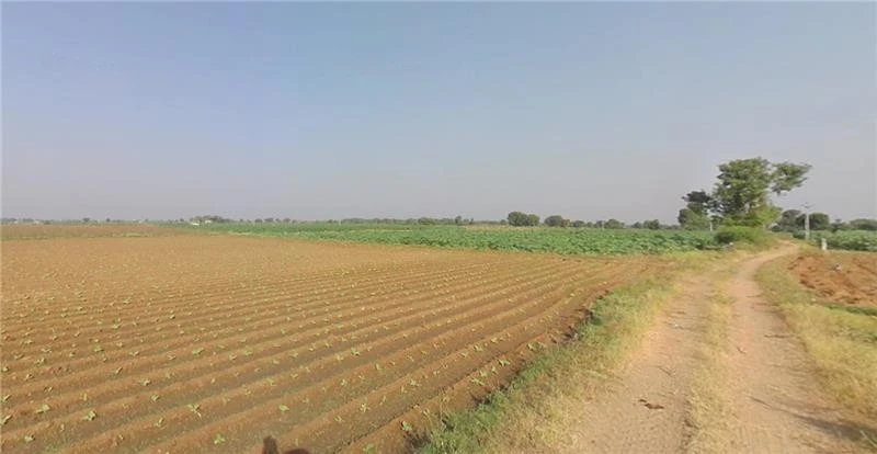 Sonardi, Gujarat 362205, India