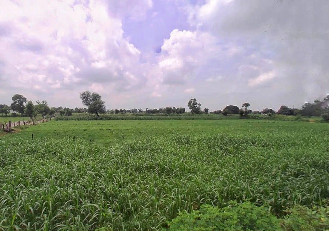 Agricultural Land in Salempura , Anoopgarh