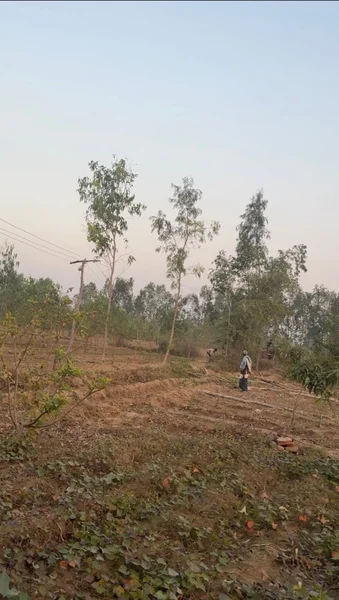 Gokulpur, Uttar Pradesh, India preview 5