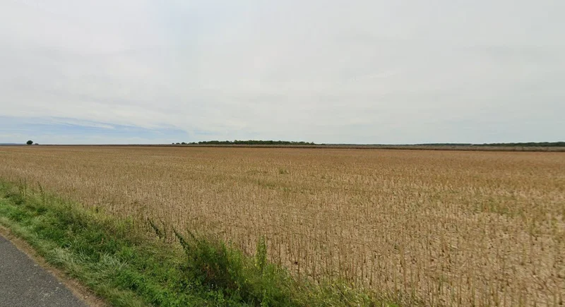 Sasabarad, Madhya Pradesh 451228, India