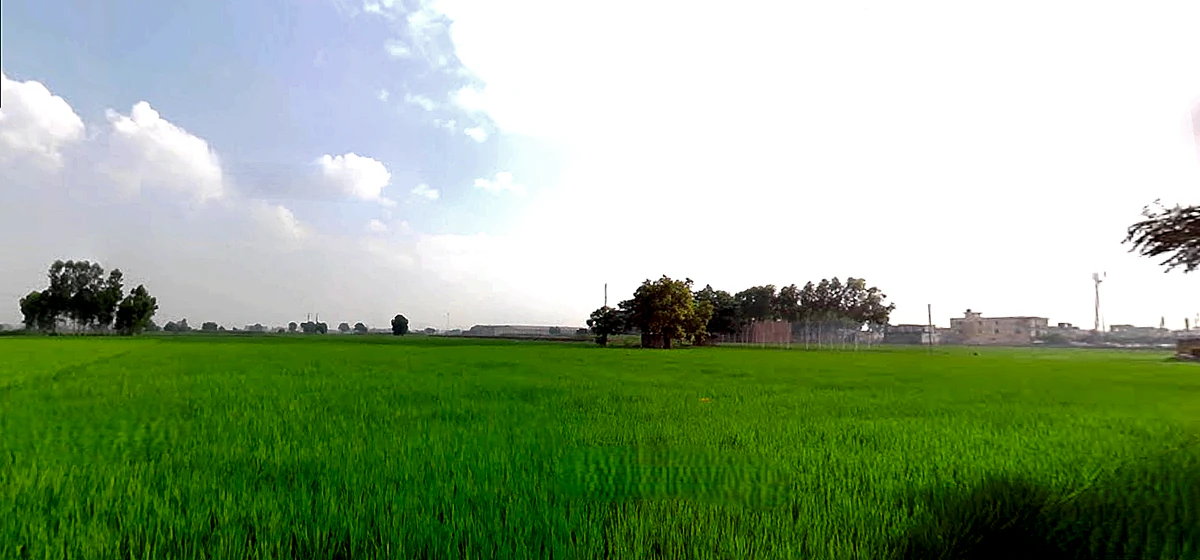 RHGC+759, Morinda Rd, Kurali, Punjab 140103, India