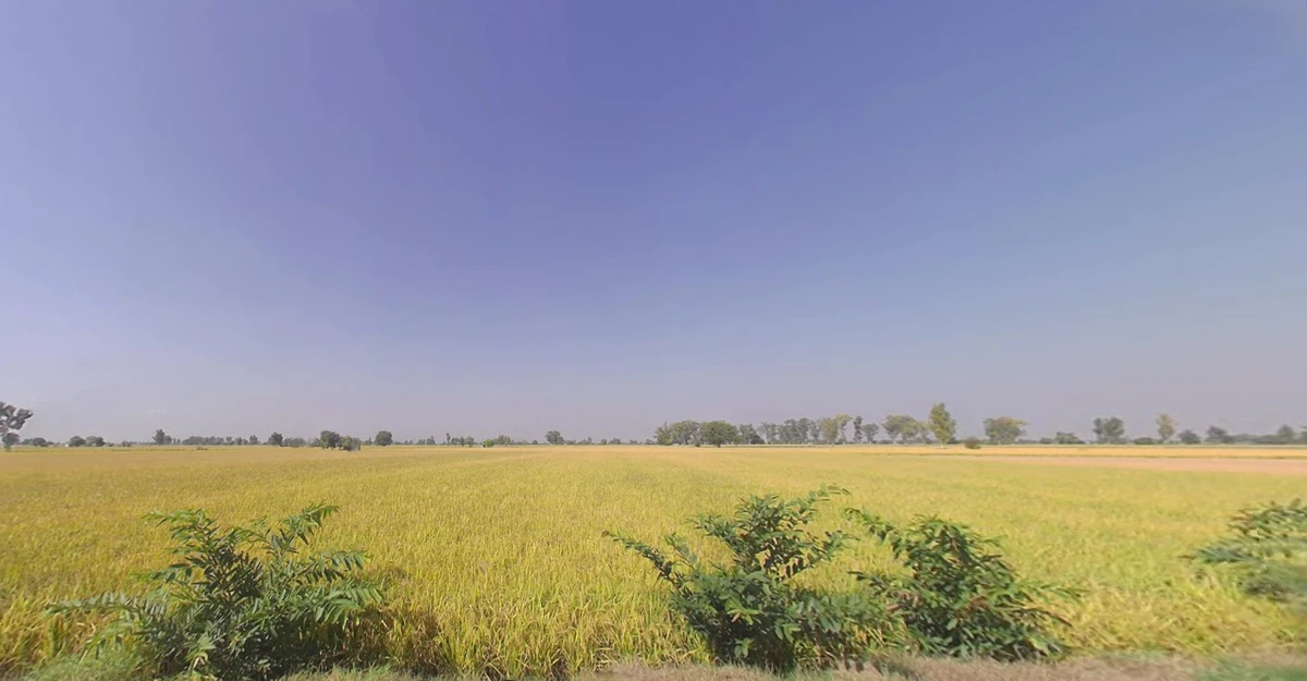 Barjora, West Bengal 722202, India