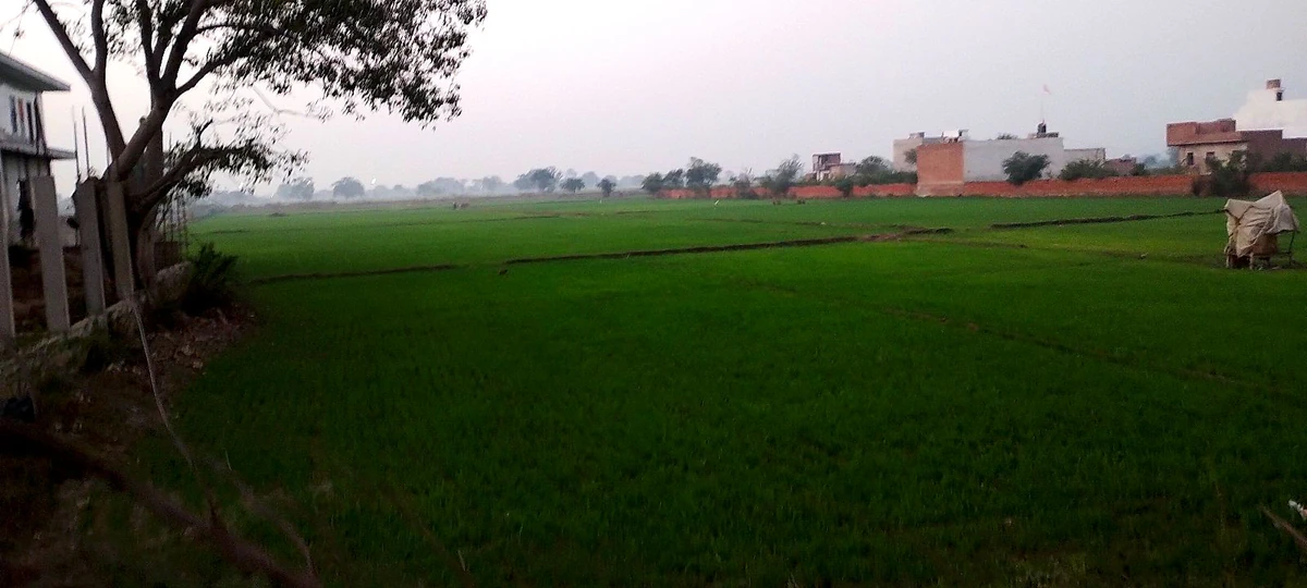 Bahaj, Rajasthan, India