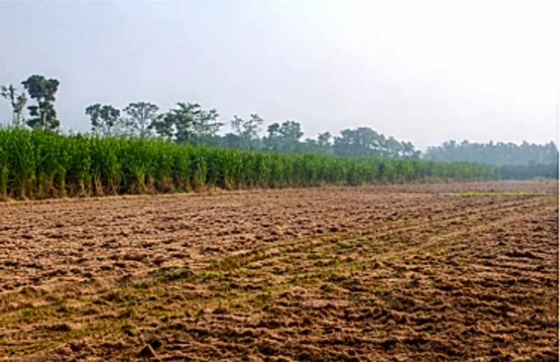 9R47+WX Bannur Rural, Karnataka, India