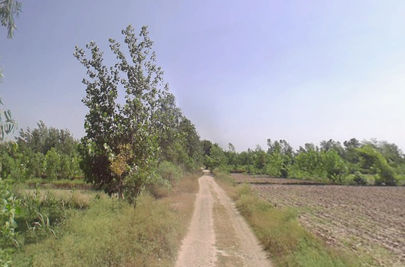 Fatehganj Pashchimi, Uttar Pradesh 243501, India