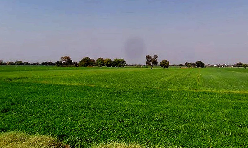 3PRM+428, Runija, Madhya Pradesh 456776, India preview 3