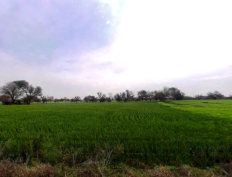 Bagru, Rajasthan 303007, India preview 2