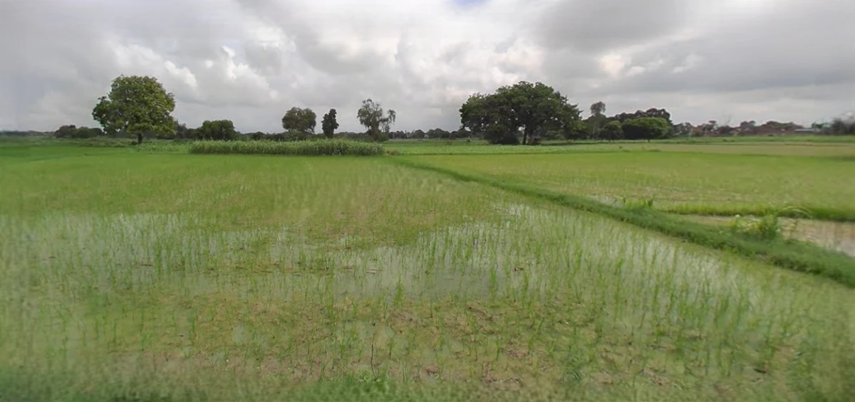 Rangia, Assam, India