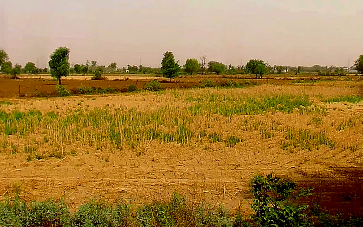 Nikhri, Haryana 123106, India