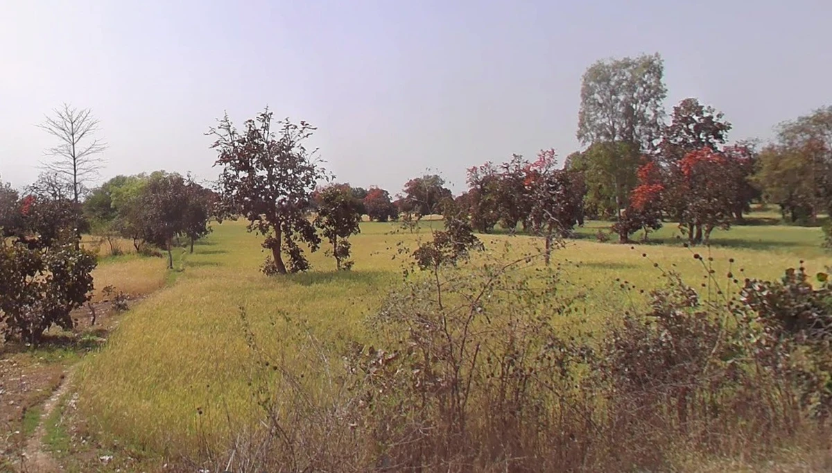 35XG+94, Pahadi Kheda, Madhya Pradesh, India