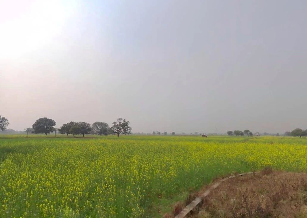 Rewa, Madhya Pradesh, India