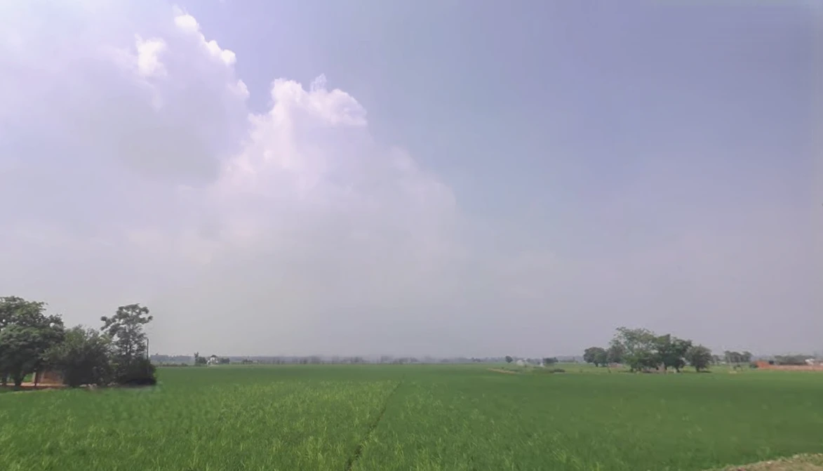 Daddu Majra Colony, Chandigarh, 160014, India