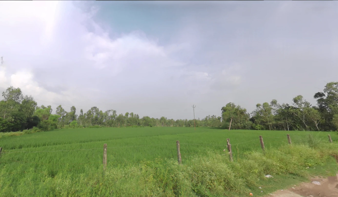 Kothdi Bahlolpur, Uttar Pradesh 247129, India