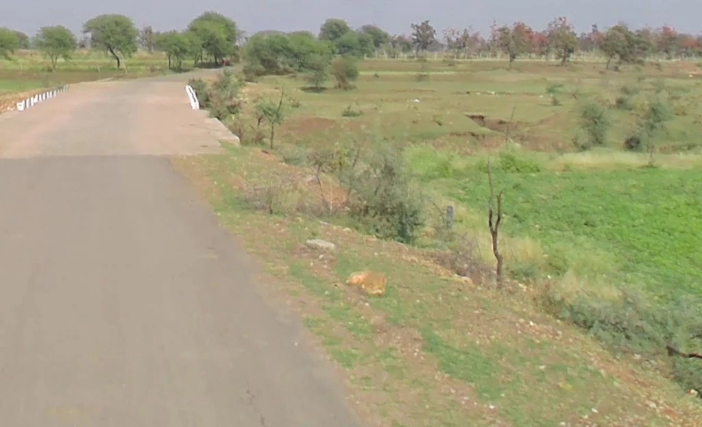 Patewa, Chhattisgarh 493551, India