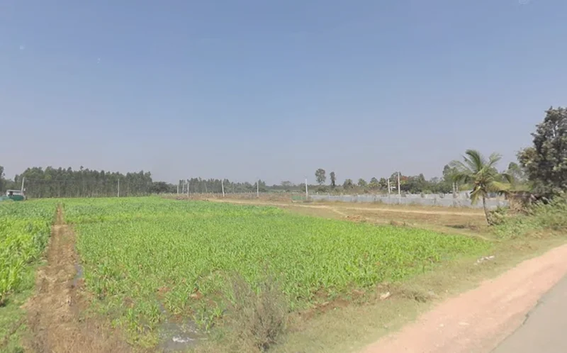 Krishnarajanagara, Karnataka 571602, India preview 2