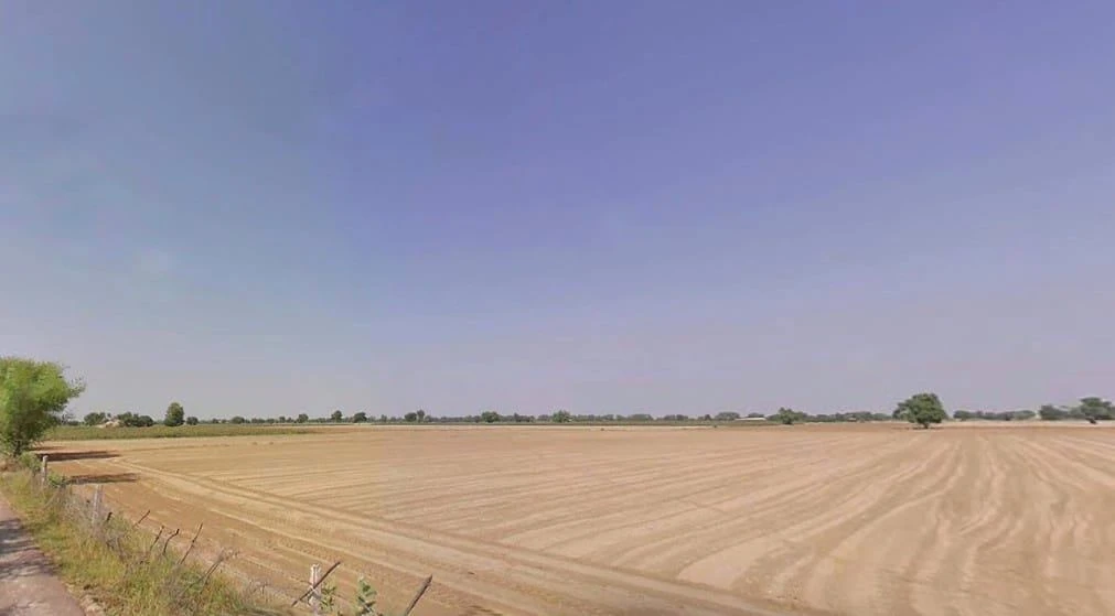 Sardarpura Jeevan, Rajasthan 335037, India