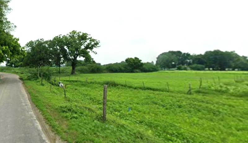 Kateharo, Uttar Pradesh 209859, India preview 2