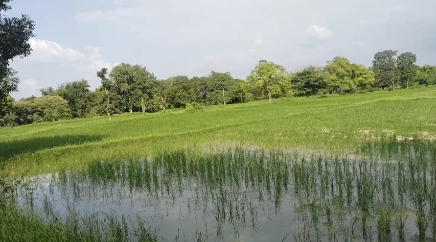 Mavaiya Kala, Uttar Pradesh, India