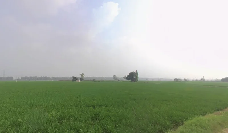 Khatra Chuharm, Punjab 141118, India preview 2