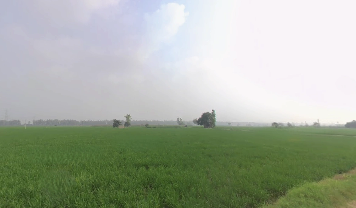 Khatra Chuharm, Punjab 141118, India