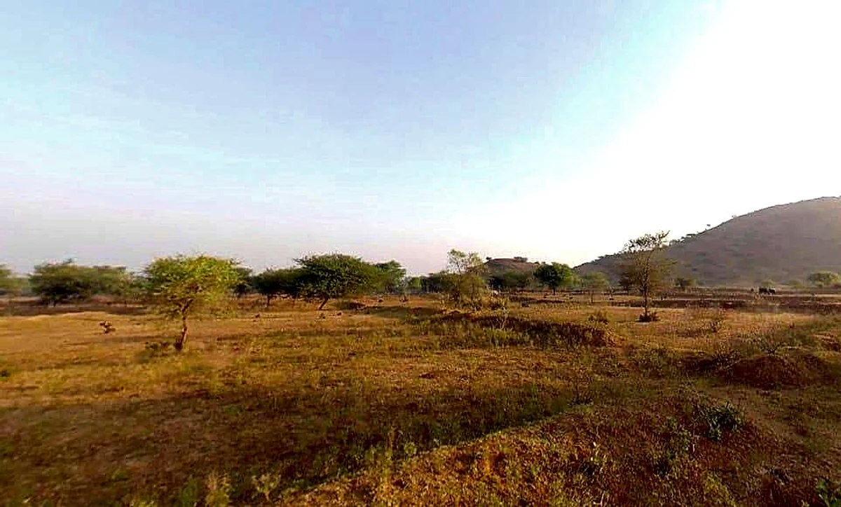 Agricultural Land in Chainpura, Bharatpur