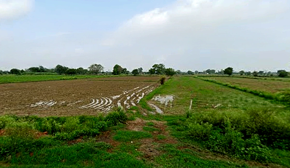 Auhawa Bangar, Uttar Pradesh, India