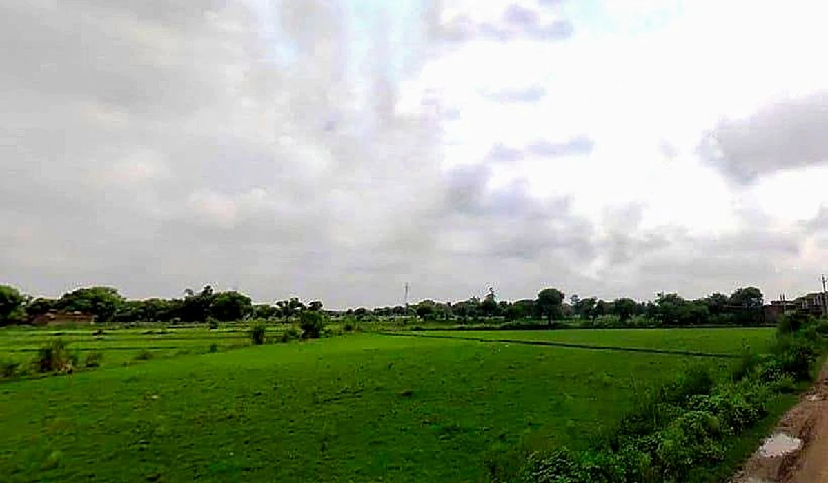 Dewara, Uttar Pradesh 212301, India