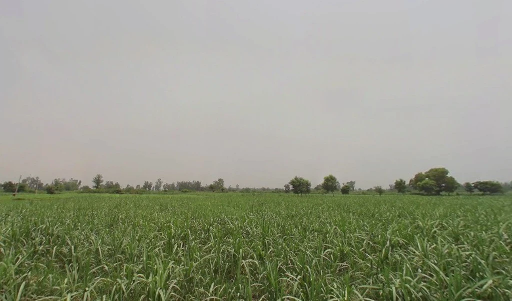 Bhawanpur, Uttar Pradesh, India