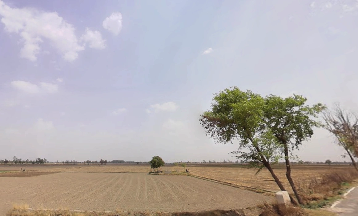 Bass, Haryana 125042, India