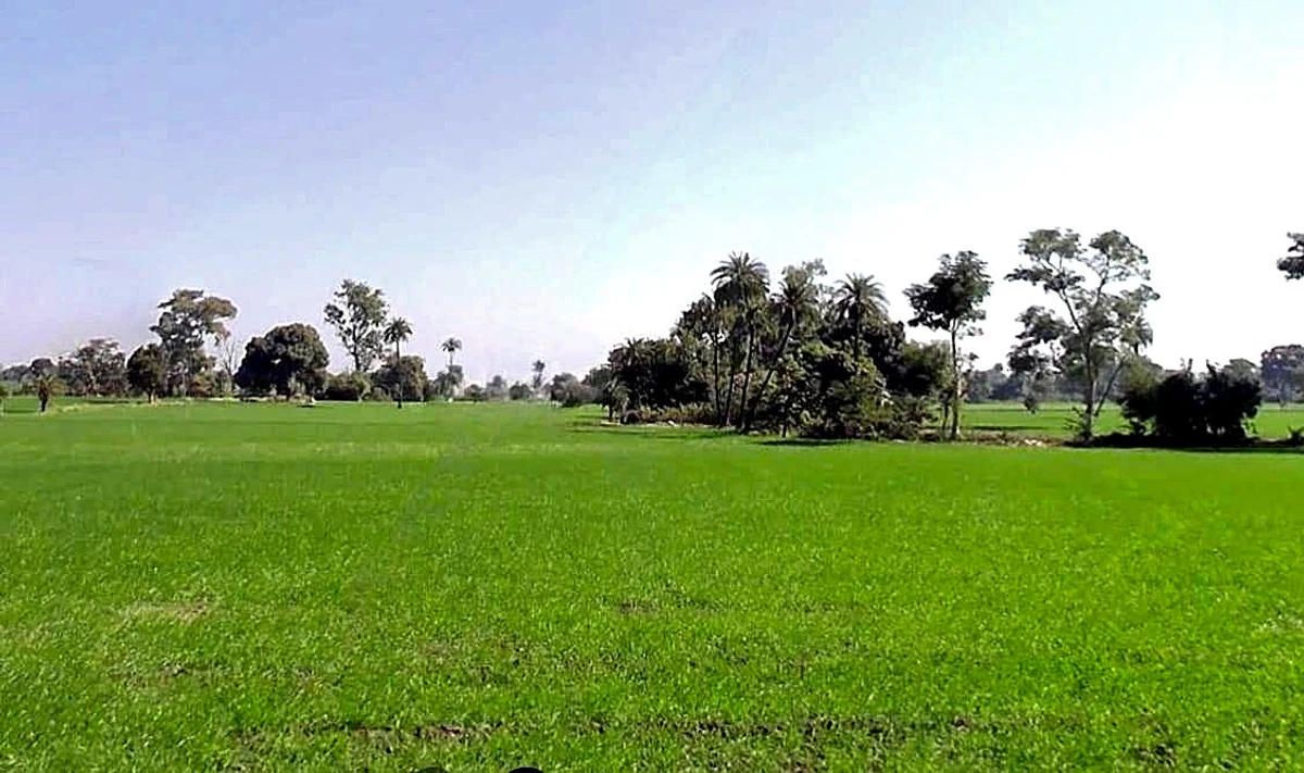 Shujalpur, Madhya Pradesh 465333, India