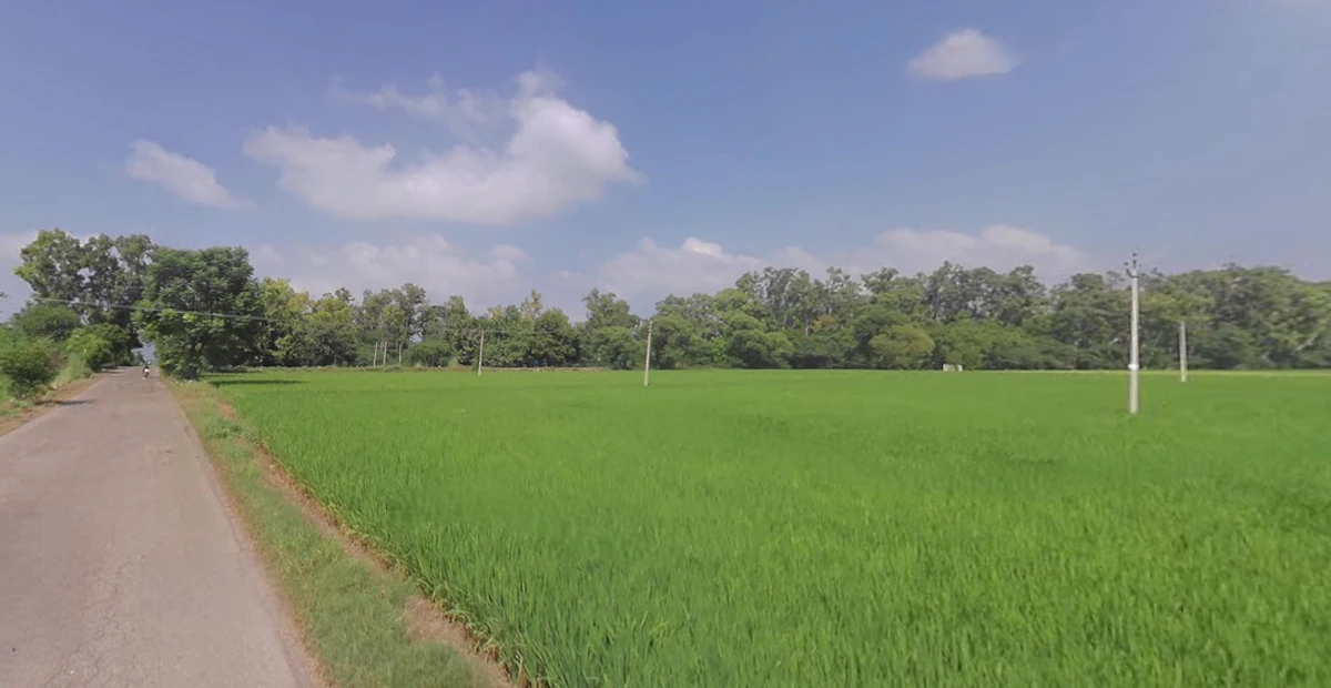 GJ SH 60, Saiyat, Gujarat 388225, India