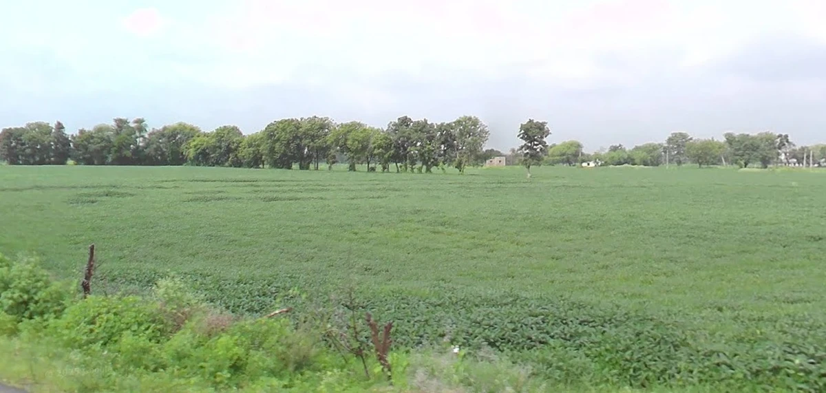 Chichli, Madhya Pradesh 487770, India