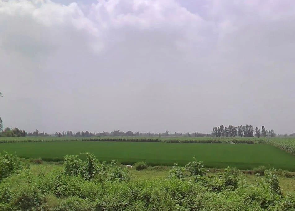 7772+J8C, Hitauta, Hitauti, Uttar Pradesh 242405, India