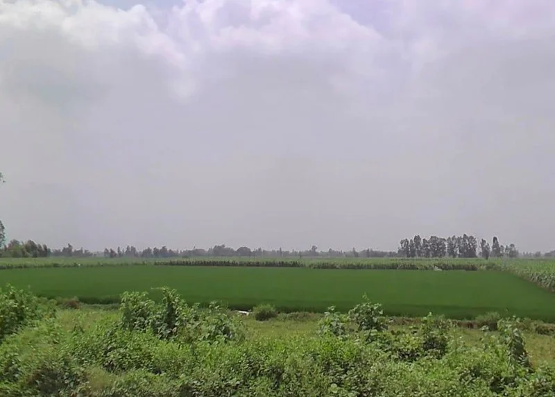 7772+J8C, Hitauta, Hitauti, Uttar Pradesh 242405, India preview 2