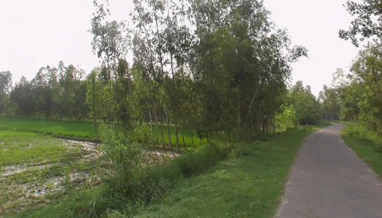 Mirzapur Pole, Uttar Pradesh 247121, India