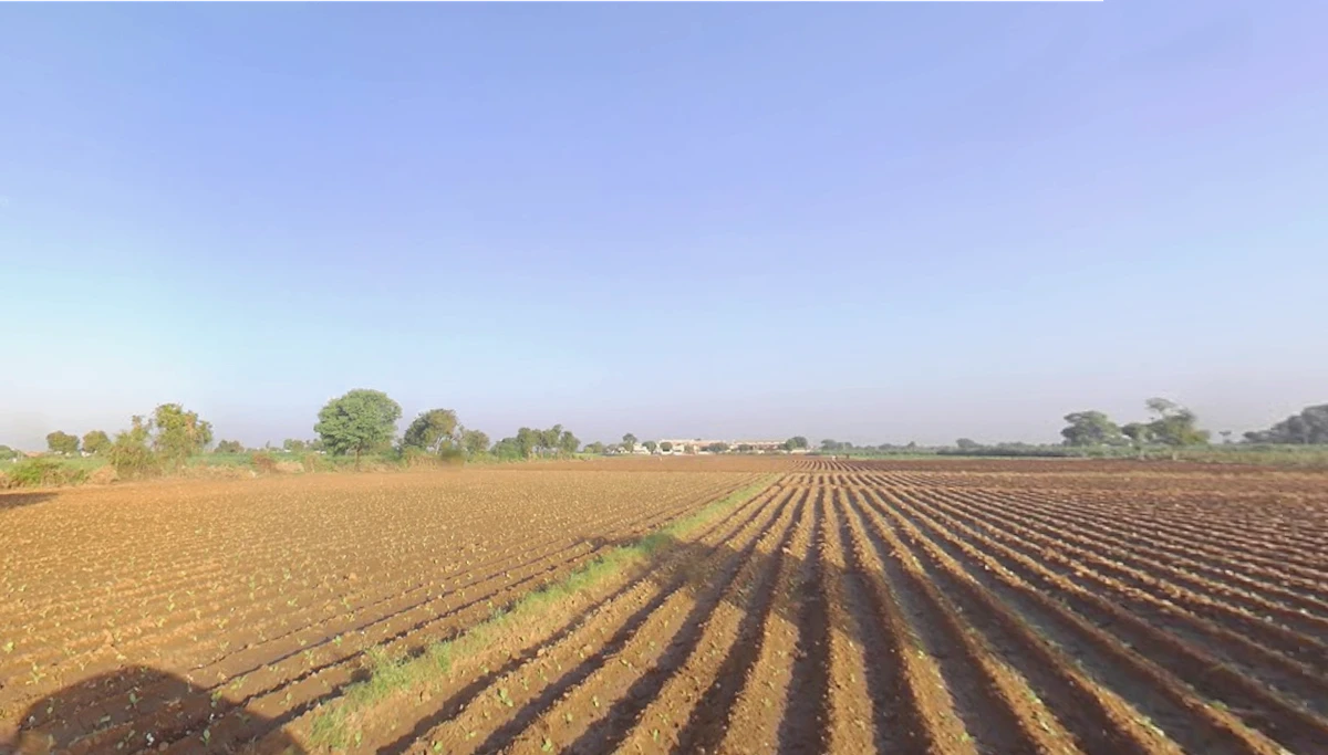 Lakadia, Gujarat 370145, India