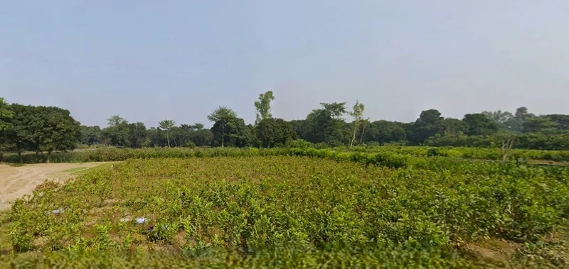 Dund Pur, Uttar Pradesh 209821, India preview 2