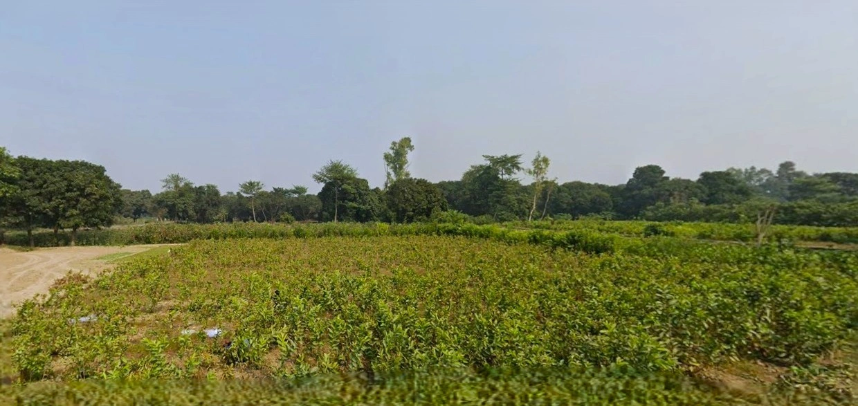 Dund Pur, Uttar Pradesh 209821, India