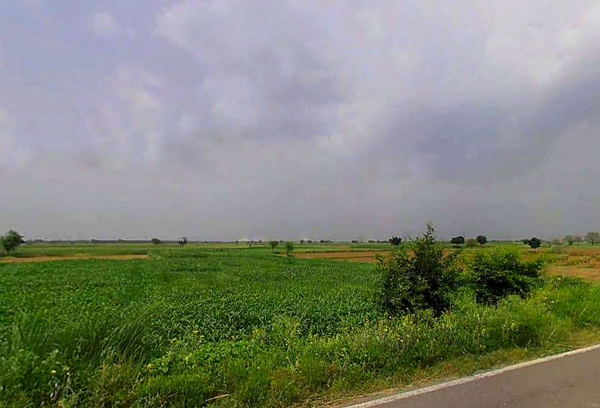 VWQX+G2G, Nawli, Haryana 122108, India