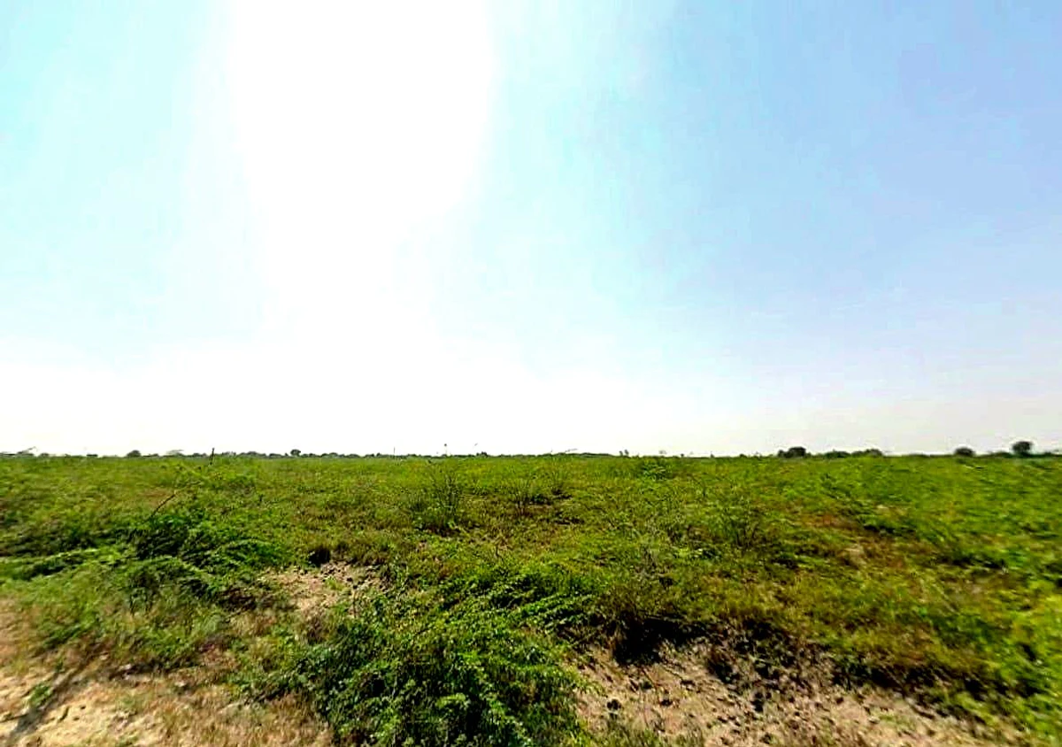 Q6R7+JRQ, Jawariya, Rajasthan 306401, India