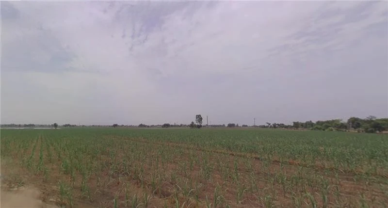 Kakarva, Gujarat 370140, India